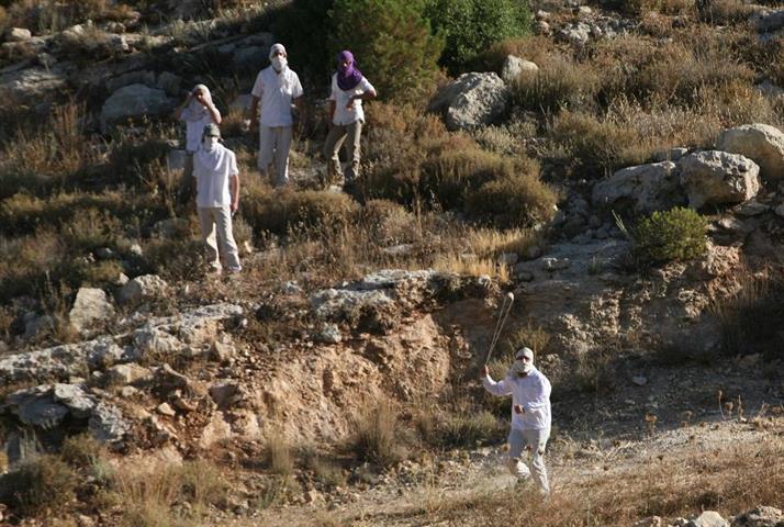 On going attacks by Beit Ayin colony settlers against Khirbet Safa under full army protection