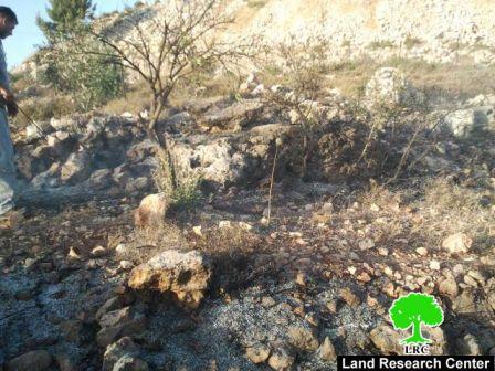 المستعمرون يشعلون النار  في أراضي نحالين