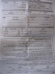 Maon Colonists Chop Twenty Trees