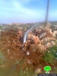 Damaging an electrical grid and ordering people to stop constructing in a water network