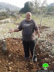 The occupation cuts off 1000 saplings in Wadi Qana