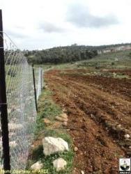 المستوطنون الاسرائيليون يعتدون على أراضي فلسطينية تم استصلاحها ضمن مشروع نفذه معهد الابحاث التطبيقية – القدس (أريج) في قرى شمال غرب القدس