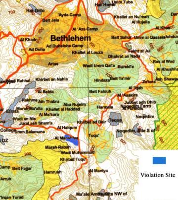 Israeli Army Uproots olive trees In Taqu’, Bethlehem