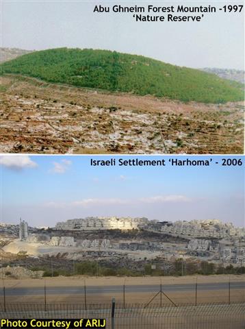 Environmental “Ecocide”: The undeclared Israeli War against the Palestinian Trees