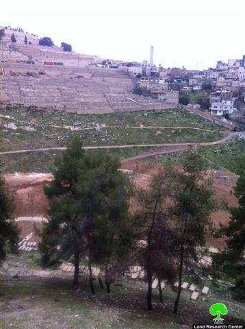 Placing Fifty Phony Graves in a Plot of land in Silwan city