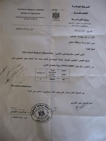 مستعمرون يعتدون على عشرات الأشجار في أراضي بيت أمر