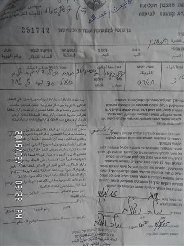 The Israeli occupation notifies 2000 olive seedlings with removal in Salfit