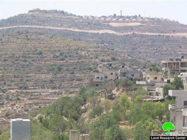 مستوطنو معاليه ليفونا يدمرون العشرات من أشجار الزيتون في قرية اللبن الشرقية