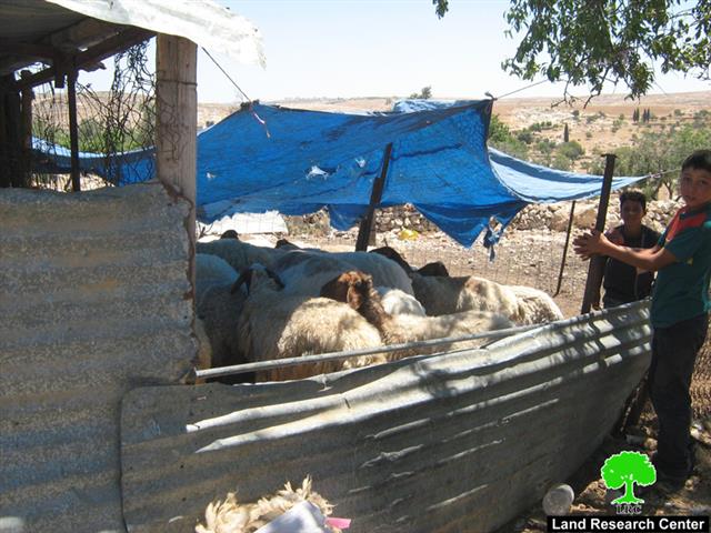 مستوطنة ” شمعة تتوسع على أراضي قرية الشويكة