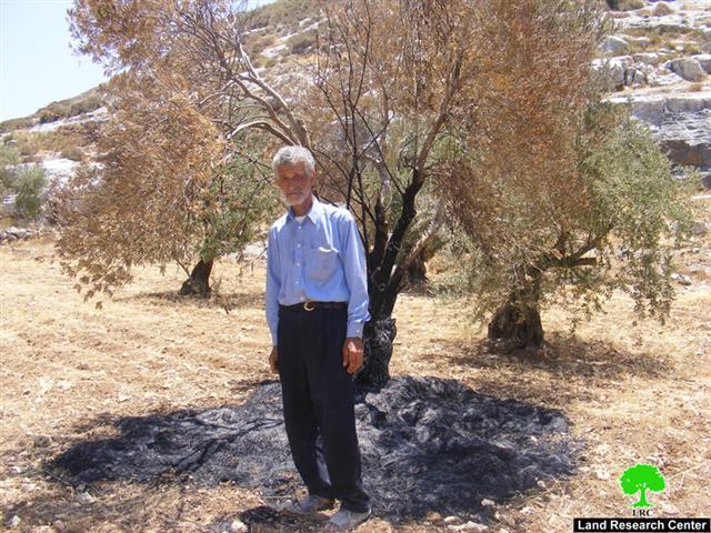 Colonial Outposts East of Qalqilia City