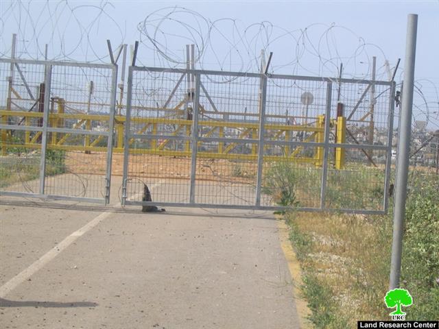Israeli Occupation Forces prevent Mas-ha villagers from reaching their lands behind the Isolation Wall.