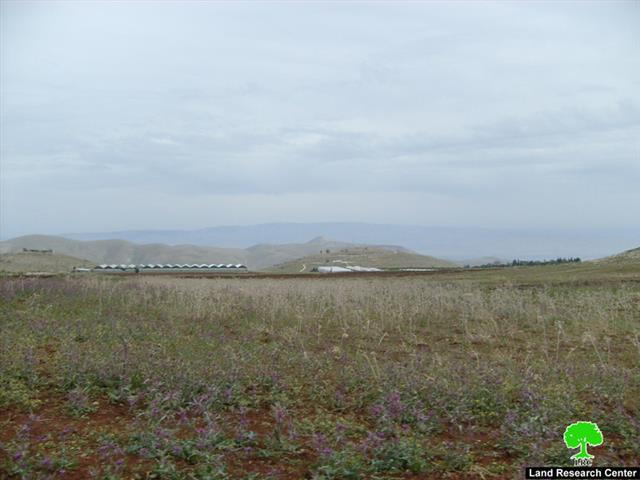 الاحتلال يخطر الفلسطينيين بإخلائهم من مساكنهم ومنشآتهم في قرية عقربا