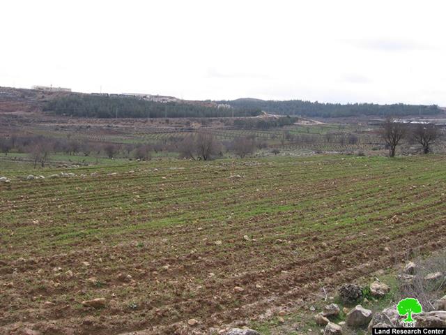 Israeli Occupation Authorities Confiscate 600 Dunums of Brikot Lands