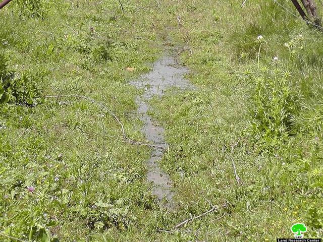 For the Third Time: Kfar Etzion Colonists Dump their Sewage in Palestinian Agricultural Lands in Town of Beit Ummar – Hebron Governorate