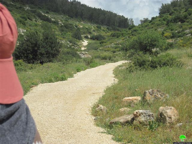 Connecting Colonies in Wadi Qana with a road Network
