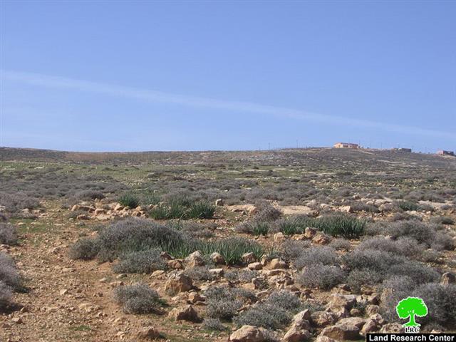 Mitsadut colonists Cultivate Palestinian Lands