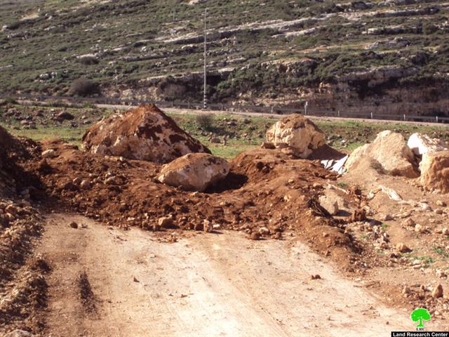 Colonists of Shavot Rahil Uproot 60 Olive Trees of Qaruit Lands – Nablus Governorate