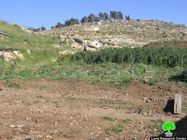 Demolition three Water Pools in Al Majnouna