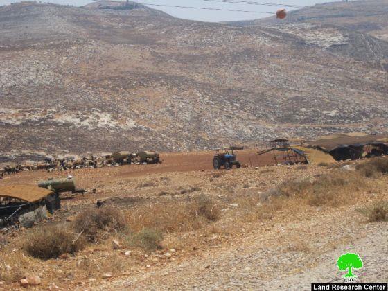 الأغنام والمراعي هدفاً للاحتلال في الأغوار الشمالية