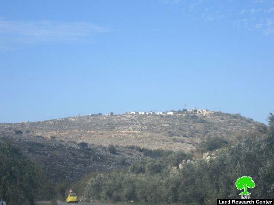 A development plan for Eli colony