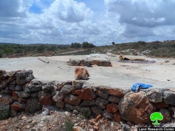 Colonists Cut Down 70 Olive Seedlings north of Yatma village