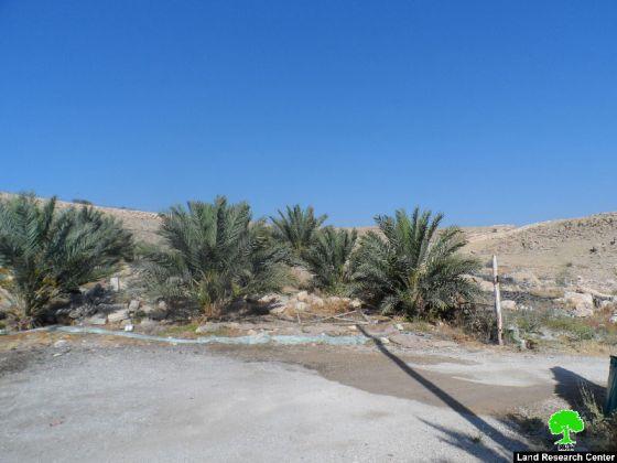 A Mililtary Order Demanding the Removal of 110 Palm Trees