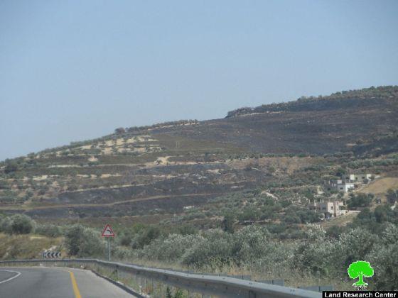 إضرام النيران بنحو 200 دونماً من الأراضي الزراعية في قريتي مادما وبورين