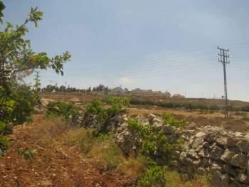 Colonists Try to Seize 70 Donums in Hebron