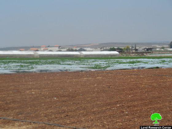 Demolition orders for a big number of artesian wells in Jenin