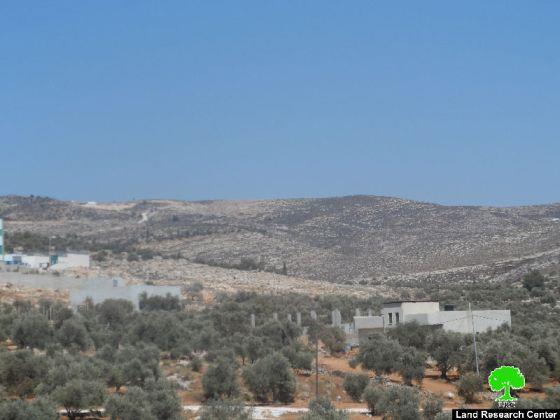 Burning 90 dunums of land in Nablus