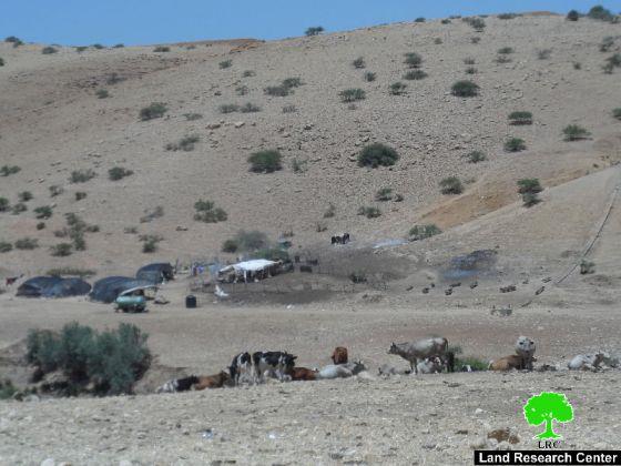 إخطار 9 عائلات للرحيل في واد المالح بالأغوار الشمالية / محافظة طوباس