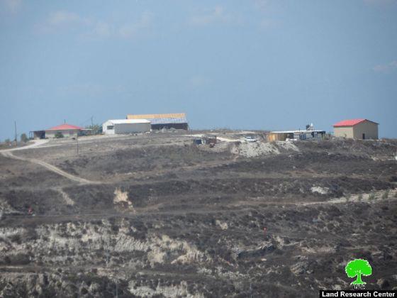 Setting 48 olive trees ablaze in Sarra and Tell villages- Nablus