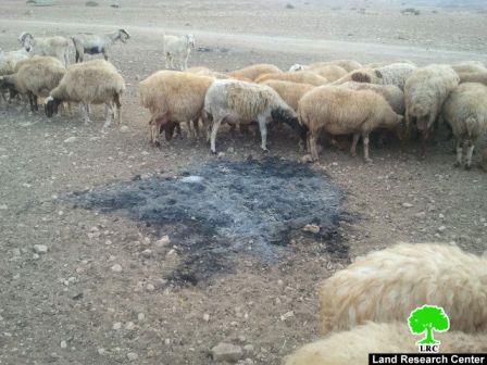 Destroying Makhoul for the fourth time in less than a month