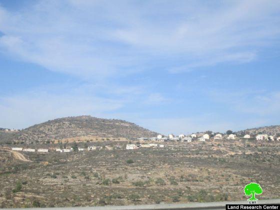 إتلاف 56 شجرة زيتون عبر رشها بمواد كيميائية في قرية بيتلّو / محافظة رام الله