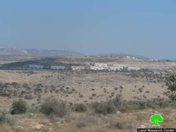 Colonists of Avnei Hefetz destroy 26 olive saplings