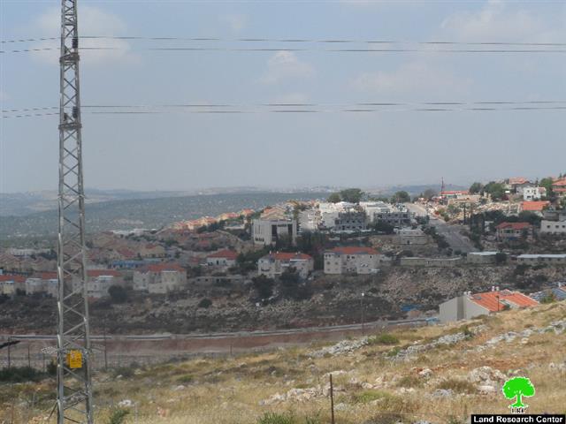 Destroying Trees in Salfit