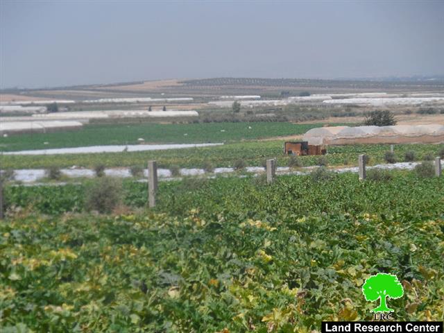 The Israeli occupation confiscates eight tractors