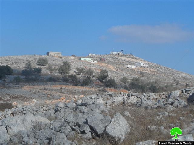 Pastures and olive trees burned down in areas classified B in Bourin village