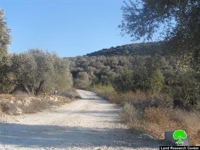 Notifying a residence and an agricultural road with stop work in Salfit