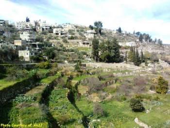 هل تلتزم اسرائيل بعدم بناء الجدار على أراضي قرية بتير الفلسطينية