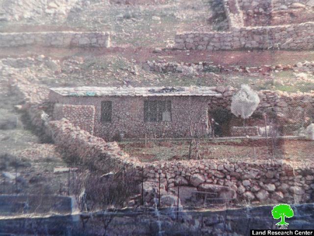 The Israeli occupation ravages a land and uproots trees in Hebron