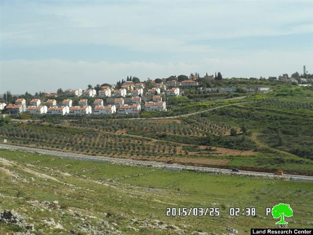 مستعمرو مستعمرة ” حلميش” يتلفون 20 غرسة زيتون وتين في قرية دير نظام