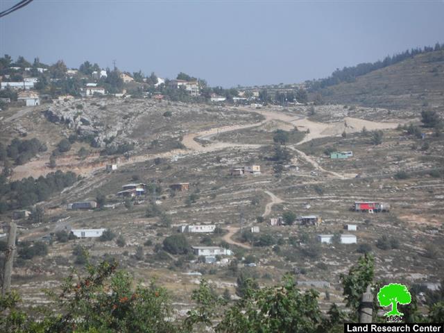 Colonists set 50 agricultural dunums ablaze in Al Jab’a village