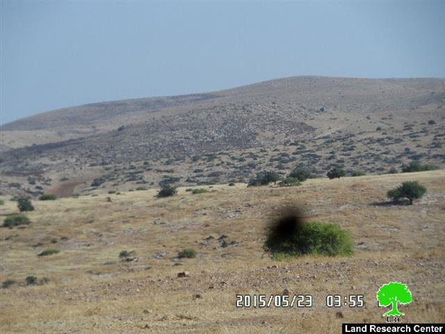 Setting hundreds of pastoral dunums alight in Wad al-Malih