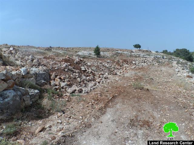 Demolishing cistern, ravaging lands and uprooting trees in the Hebron village of Surif