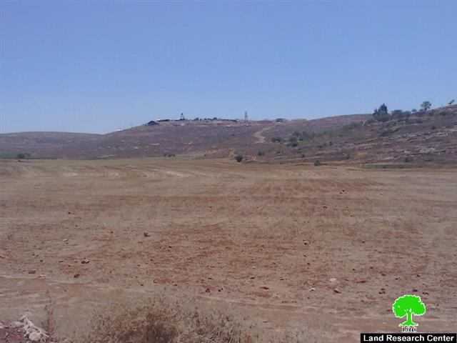 Yesh Kodish colonists sabotage 13 dunums of wheat crops in Nablus