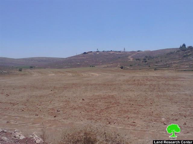 مستعمرو البؤرة الاستعمارية ” يش كودش” يخربون 13 دونم مزروعة بالقمح في قرية جالود