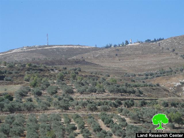Yizhar colonists torch 15 olive trees in the Nablus village of Burin