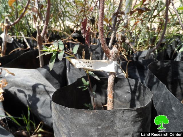 Stop-work order on a water cistern’s project in the Hebron town of Yatta
