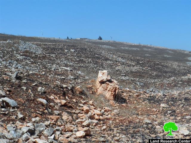 Givat Ronen colonists torch pastures and olive groves in Burin village